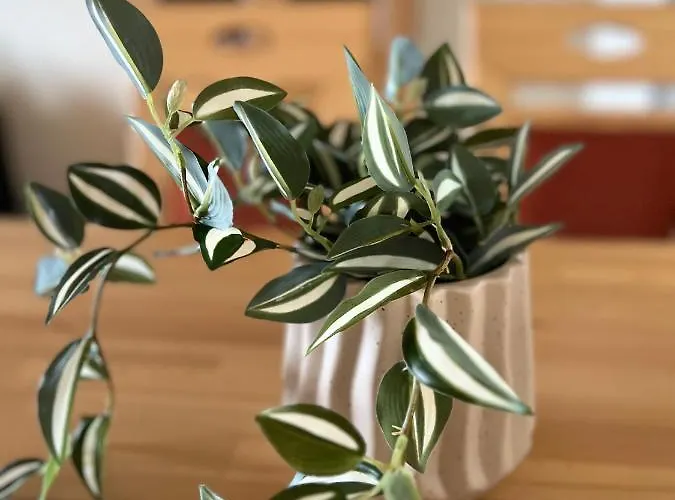 B205, Schoene In A.d. Hoehe *